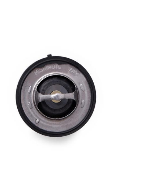Racing Thermostat
